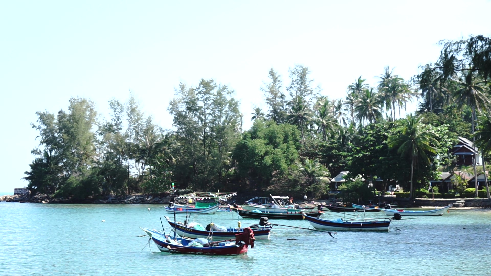 เกาะพงัน