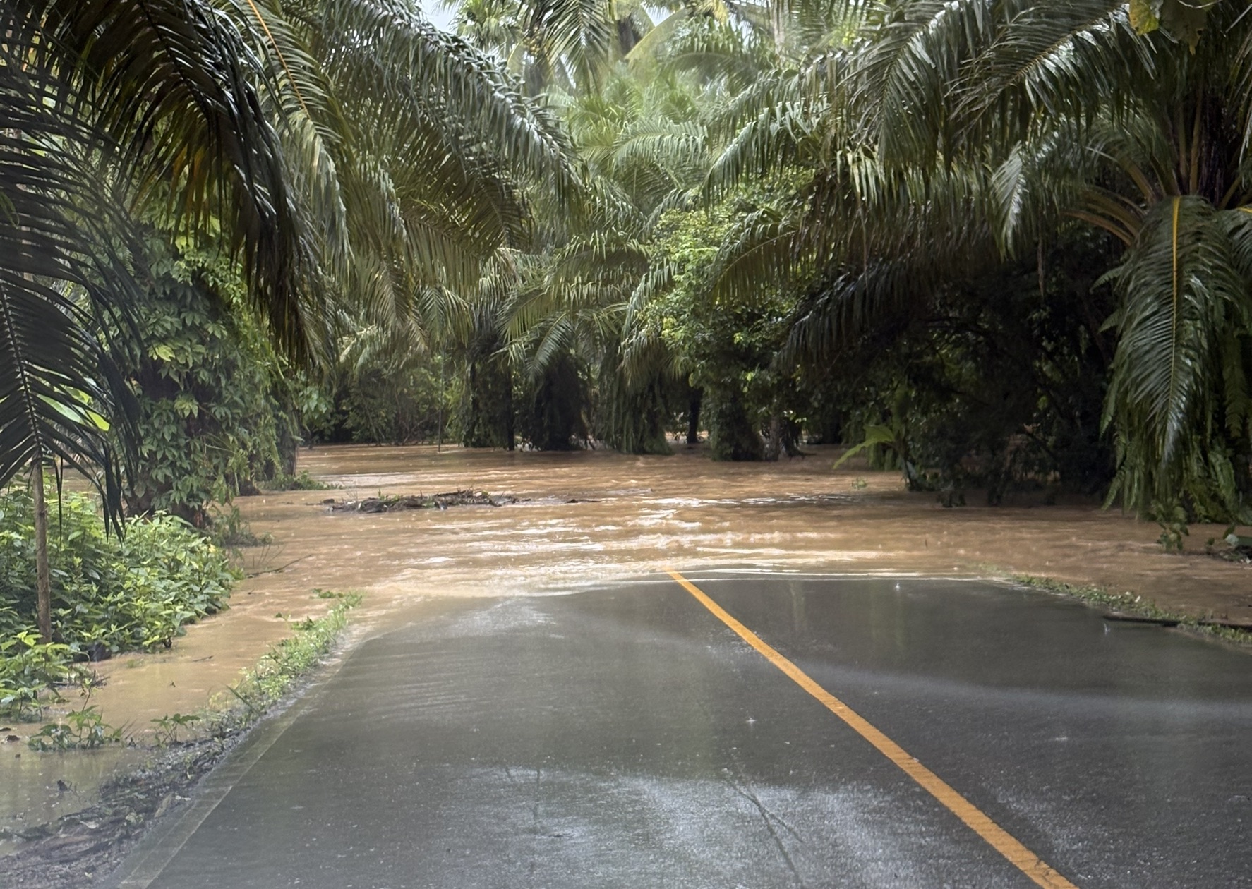 สถานการณ์อุทกภัยในจังหวัดสุราษฎร์ธานีล่าสุดเริ่มคลี่คลาย ยังคงมีน้ำท่วมขังในพื้นที่ลุ่มต่ำแนวตลิ่งและน้ำทะเลหนุนสูง&nbsp; ขณะที่ผู้ว่าฯ สั่งเฝ้าระวังพื้นที่เสี่ยงต่อเนื่อง&nbsp;