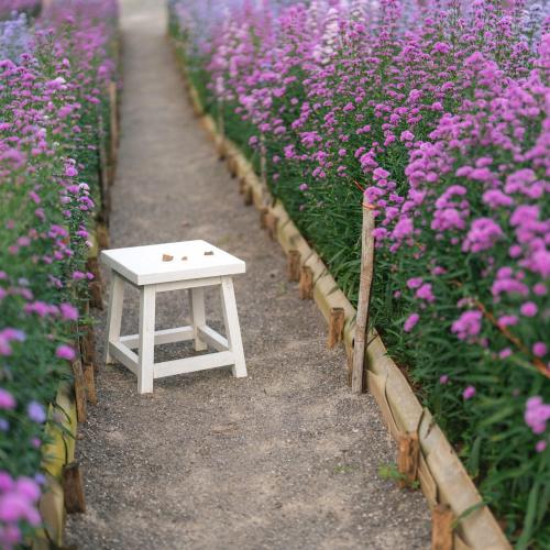 ขอบคุณรูปภาพจาก Phuvieng Cafe ภูเวียง คาเฟ่ 